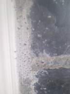 millstreet 13710.jpg